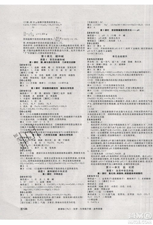 阳光出版社2020年全品学练考化学九年级下册新课标RJ人教版答案