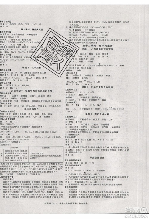 阳光出版社2020年全品学练考化学九年级下册新课标RJ人教版答案