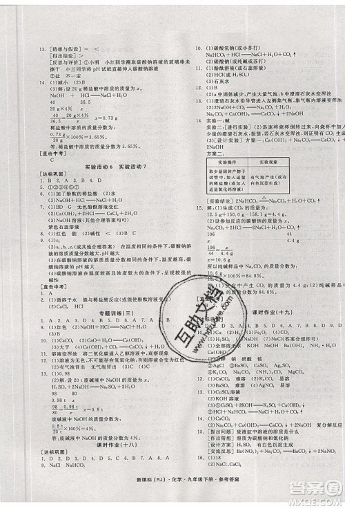阳光出版社2020年全品学练考化学九年级下册新课标RJ人教版答案