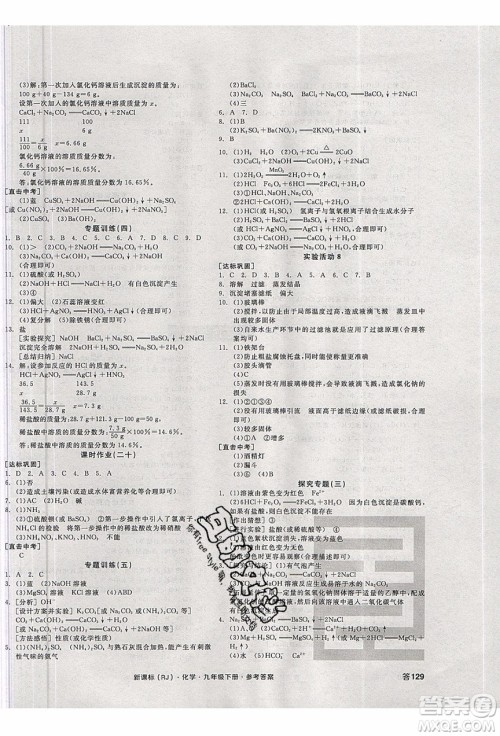 阳光出版社2020年全品学练考化学九年级下册新课标RJ人教版答案