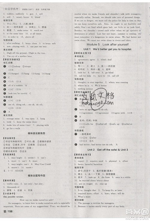 阳光出版社2020年全品学练考英语九年级下册新课标WY外研版答案