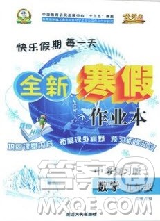 2020优秀生快乐假期每一天全新寒假作业本九年级数学中考复习版人教版答案