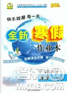 2020优秀生快乐假期每一天全新寒假作业本九年级化学中考复习版人教版答案 2020优秀生快乐假期每一天全新寒假作业本九年级化学中考复习版人教版答案