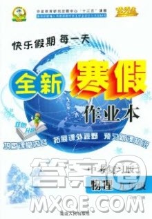 2020优秀生快乐假期每一天全新寒假作业本九年级物理中考复习版通用版答案