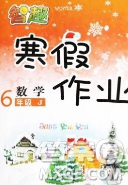 云南科技出版社2020春智趣寒假作业六年级数学冀教版答案