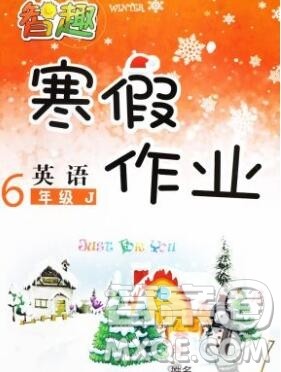 云南科技出版社2020春智趣寒假作业六年级英语冀教版答案