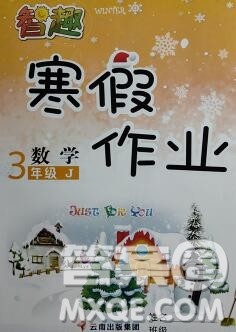 云南科技出版社2020春智趣寒假作业三年级数学冀教版答案