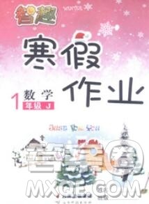 云南科技出版社2020春智趣寒假作业一年级数学冀教版答案