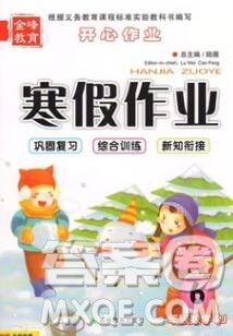 2020年金峰教育开心作业寒假作业六年级数学人教版答案