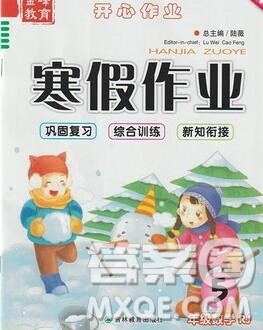 2020年金峰教育开心作业寒假作业五年级数学人教版答案
