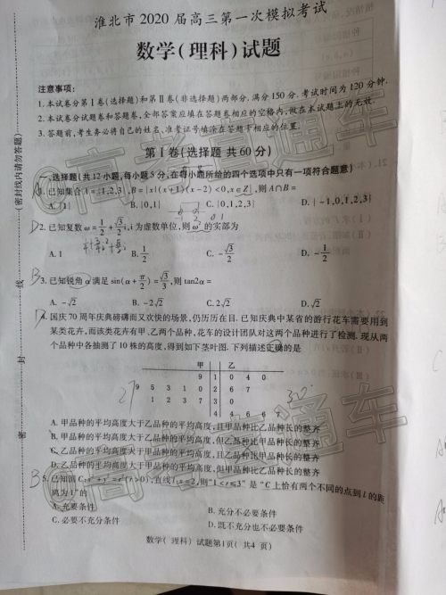 淮北市2020届高三第一次模拟考试理数试题及答案