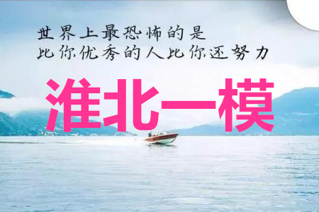 淮北市2020届高三第一次模拟考试理数试题及答案