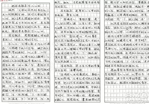 尊重父母与尊重子女作文800字 尊重父母与尊重子女作文800字