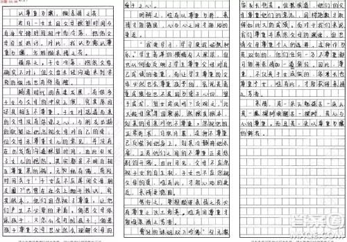 尊重父母与尊重子女作文800字 尊重父母与尊重子女作文800字