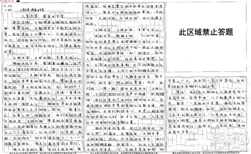不同文明如何和谐共处作文800字 不同文明如何和谐共处作文800字