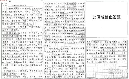 不同文明如何和谐共处作文800字 不同文明如何和谐共处作文800字