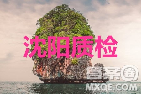 2020年沈阳市高中三年级教学质量检测一理数试题及答案 2020年沈阳市高中三年级教学质量检测一理数试题及答案