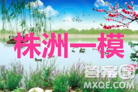 2020届株洲一模物理答案