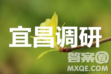 宜昌市2020届高三年级元月调研考试文科数学试题及答案 宜昌市2020届高三年级元月调研考试文科数学试题及答案