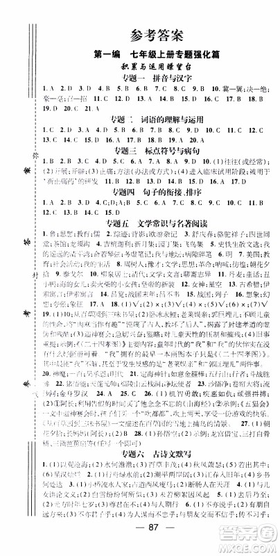 期末寒假培优衔接2020年期末冲刺王寒假作业语文七年级RJ人教版参考答案