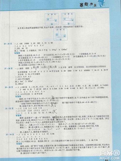 2020年豫新锐图书假期园地寒假作业五年级数学苏教版答案