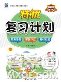 2020年特优复习计划期末冲刺寒假作业教材衔接六年级语文人教版答案