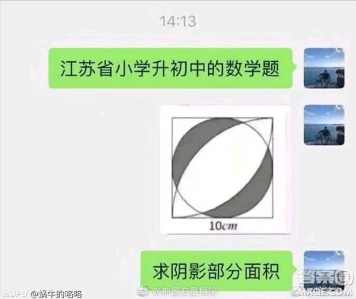 江苏省小升初数学题求阴影部分面积10cm答案