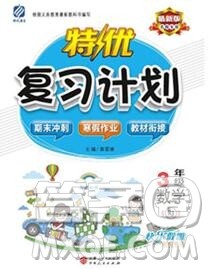 2020年特优复习计划期末冲刺寒假作业教材衔接三年级数学人教版答案