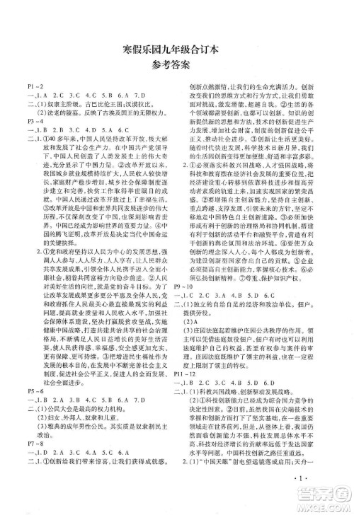 北京教育出版社2020寒假乐园九年级合订本河南专用答案