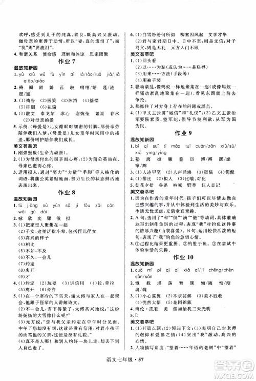 赢在起跑线2020年中学生快乐寒假语文7年级RJ人教版参考答案