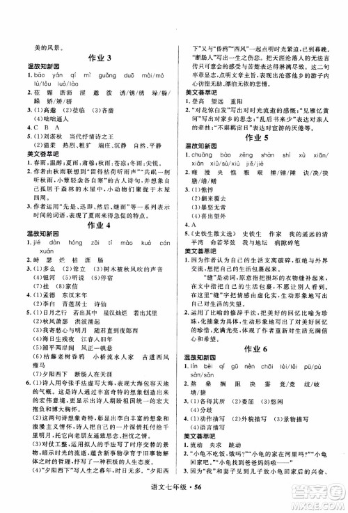 赢在起跑线2020年中学生快乐寒假语文7年级RJ人教版参考答案