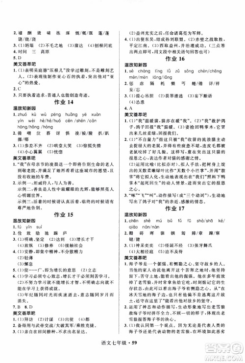 赢在起跑线2020年中学生快乐寒假语文7年级RJ人教版参考答案