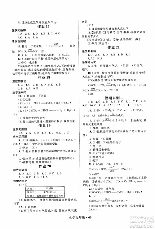 赢在起跑线2020年中学生快乐寒假化学9年级RJ人教版参考答案