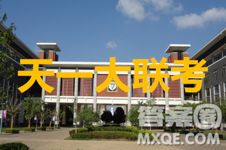 天一大联考2019-2020学年高三上学期期末考试文科数学试题及答案