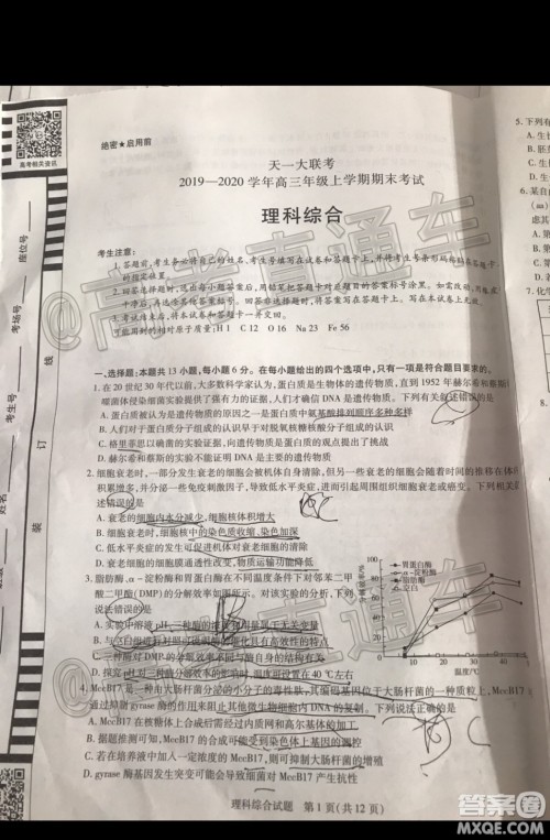 天一大联考2019-2020学年高三上学期期末考试理科综合试题及答案