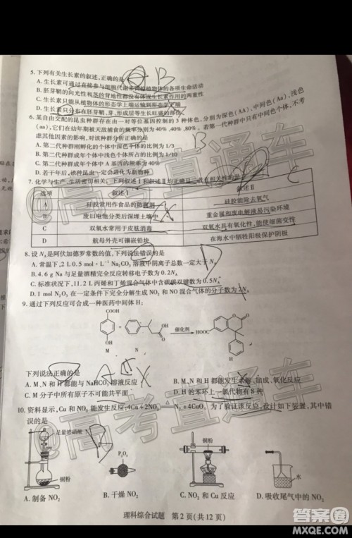 天一大联考2019-2020学年高三上学期期末考试理科综合试题及答案 天一大联考2019-2020学年高三上学期期末考试理科综合试题及答案