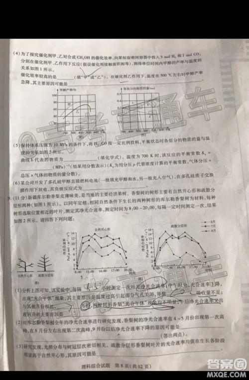 天一大联考2019-2020学年高三上学期期末考试理科综合试题及答案