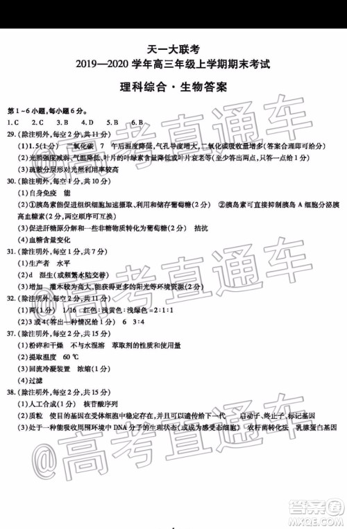 天一大联考2019-2020学年高三上学期期末考试理科综合试题及答案