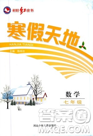 桂壮红皮书2020年寒假天地数学七年级人教版参考答案