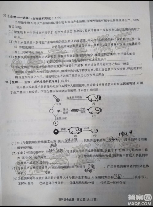 四省八校2020届高三第四次教学质量检测考试理科综合试题及答案