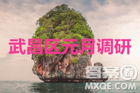 武昌区2020届高三元月调考英语答案 武昌区2020届高三元月调考英语答案