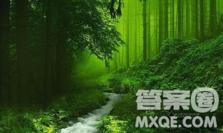 行动比呐喊更重要作文800字 行动比呐喊更重要辩论词作文800字 行动比呐喊更重要作文800字 行动比呐喊更重要辩论词作文800字