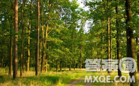 行动比呐喊更重要作文800字 行动比呐喊更重要辩论词作文800字 行动比呐喊更重要作文800字 行动比呐喊更重要辩论词作文800字