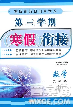 爱博教育2020年第三学期寒假衔接九年级数学R人教版参考答案 爱博教育2020年第三学期寒假衔接九年级数学R人教版参考答案