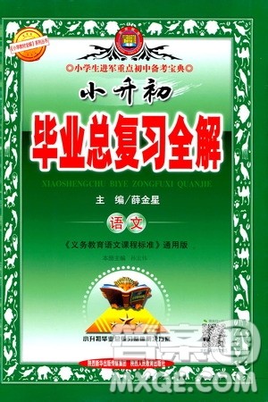 薛金星2020小升初毕业总复习全解语文通用版答案