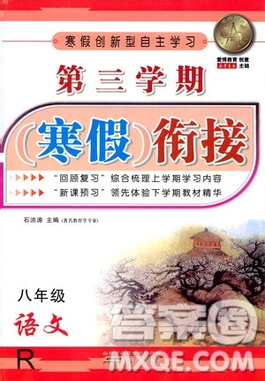 爱博教育2020年第三学期寒假衔接八年级语文R人教版参考答案
