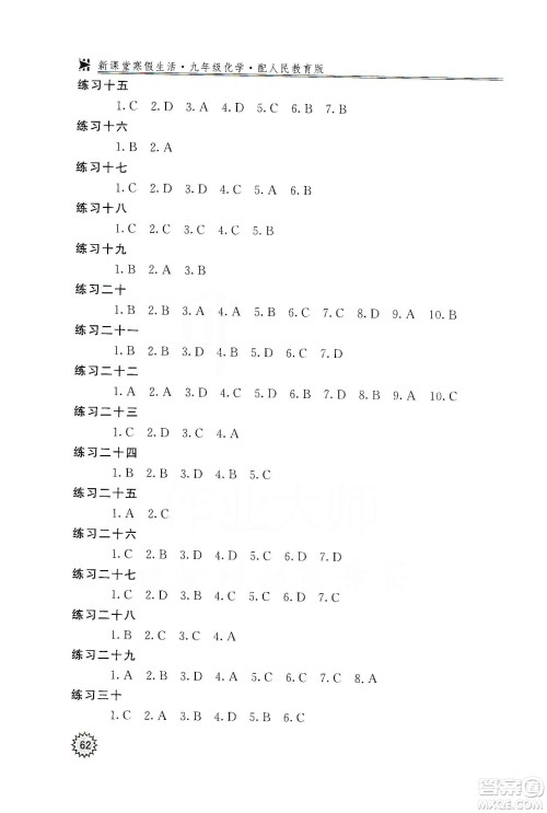 河北大学出版社2020快乐假期行寒假用书九年级化学答案