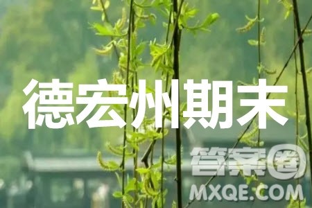 德宏州2020届高三年级秋季学期期末教学质量监测文科数学试题及答案