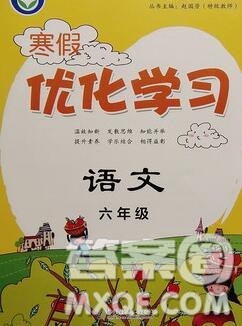 中国和平出版社2020年蓝天教育寒假优化学习六年级语文答案