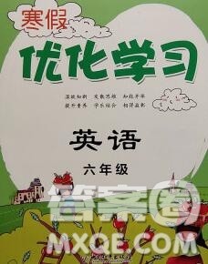 中国和平出版社2020年蓝天教育寒假优化学习六年级英语答案